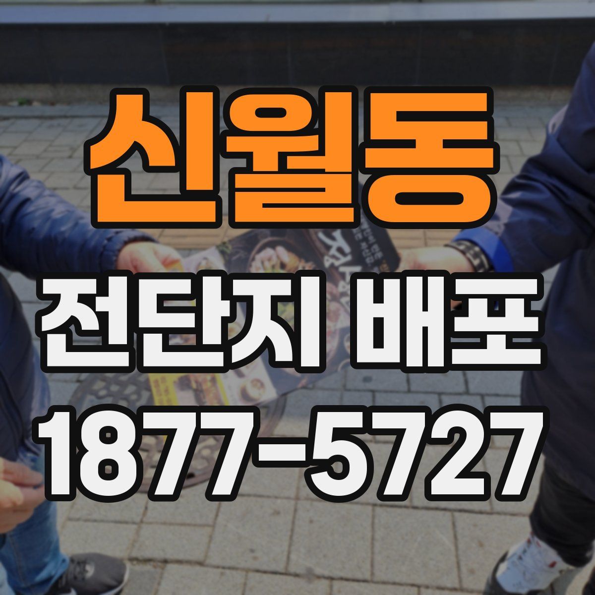 신월동 전단지 배포