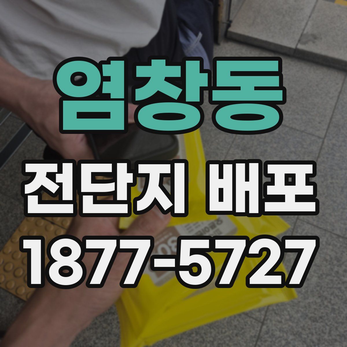 염창동 전단지 배포