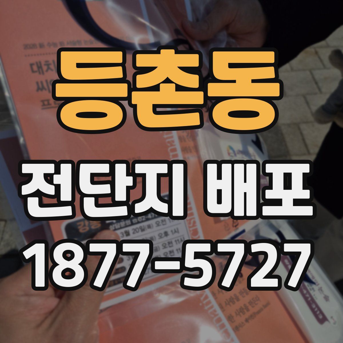 등촌동 전단지 배포