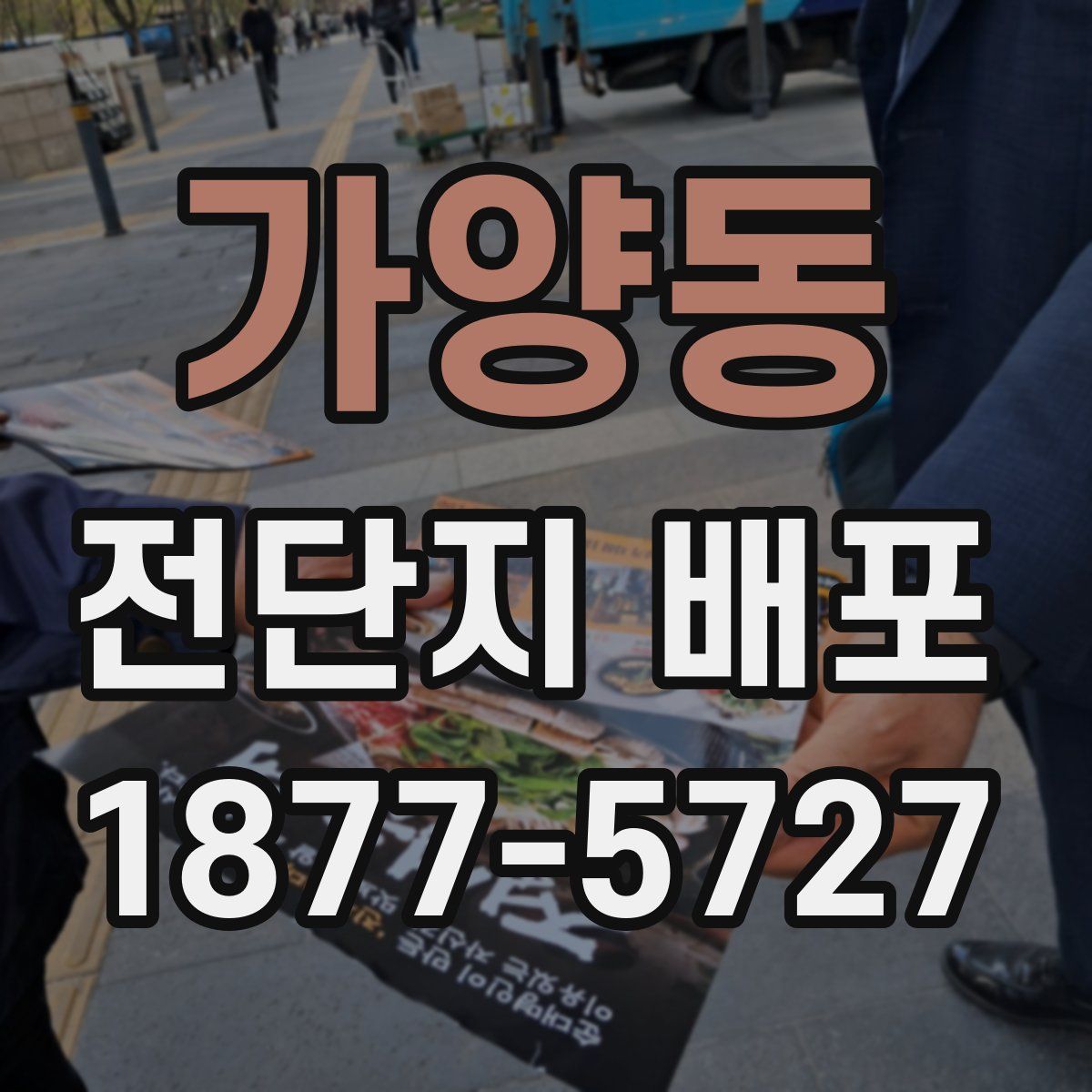 가양동 전단지 배포