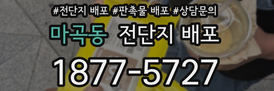 마곡동 전단지 배포