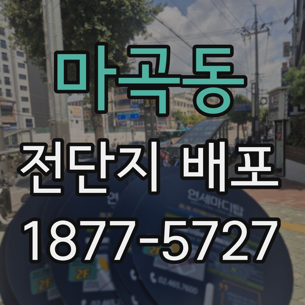 마곡동 전단지 배포