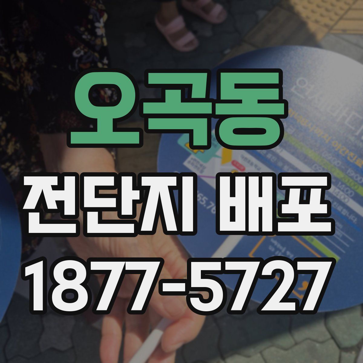 오곡동 전단지 배포