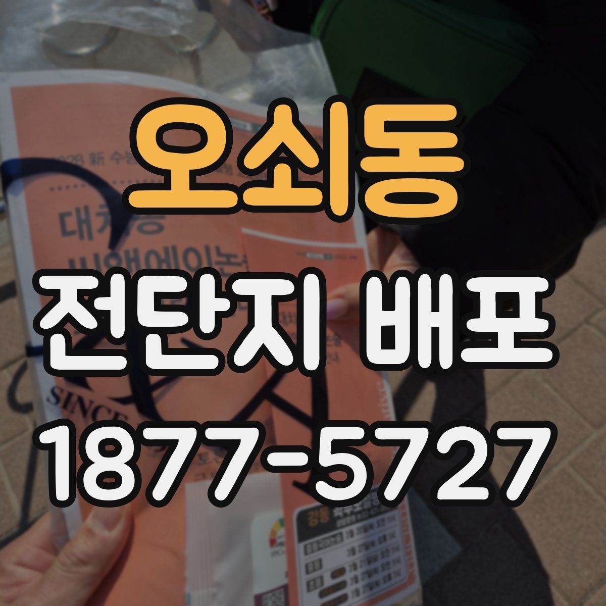 오쇠동 전단지 배포