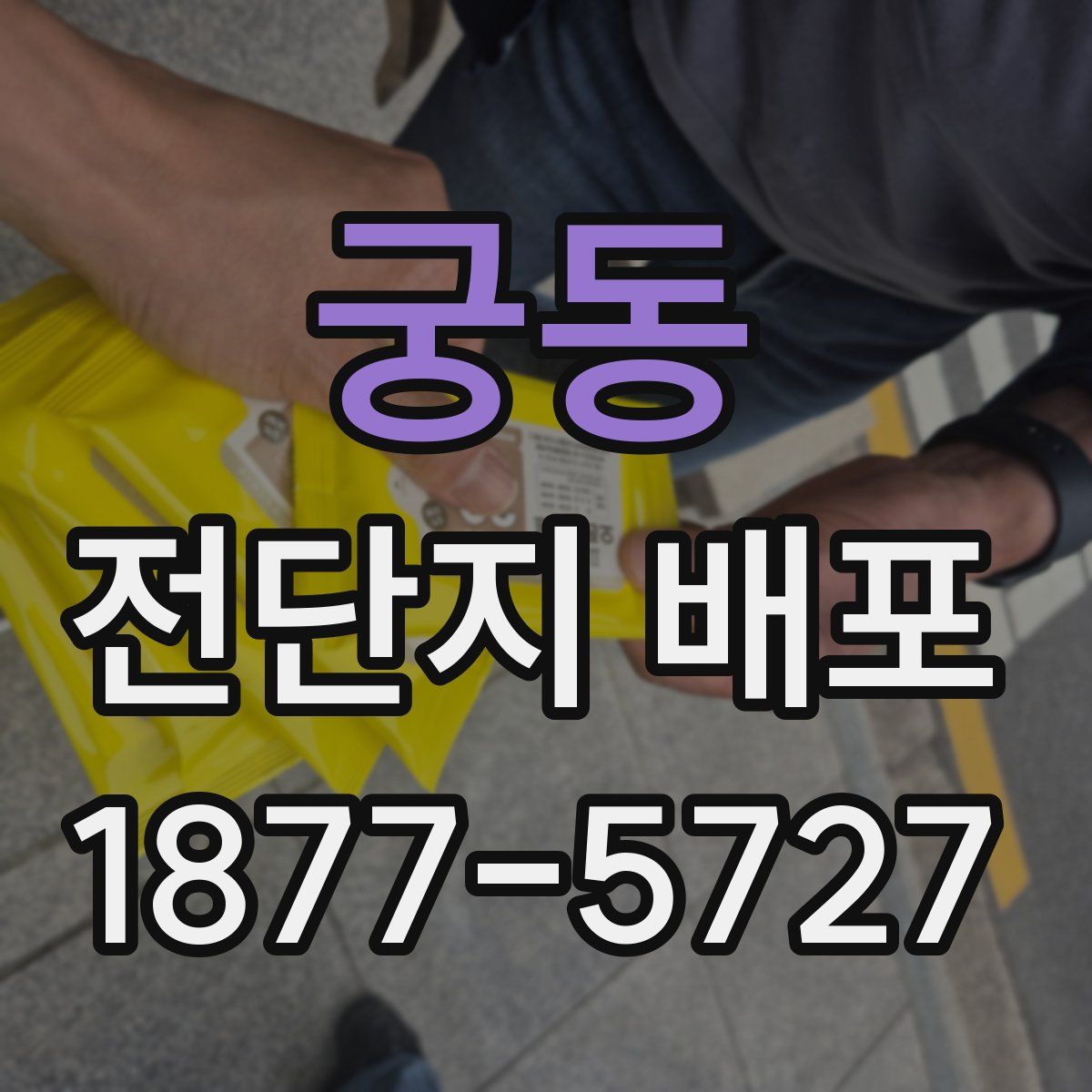 궁동 전단지 배포