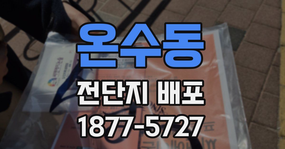 온수동 전단지 배포