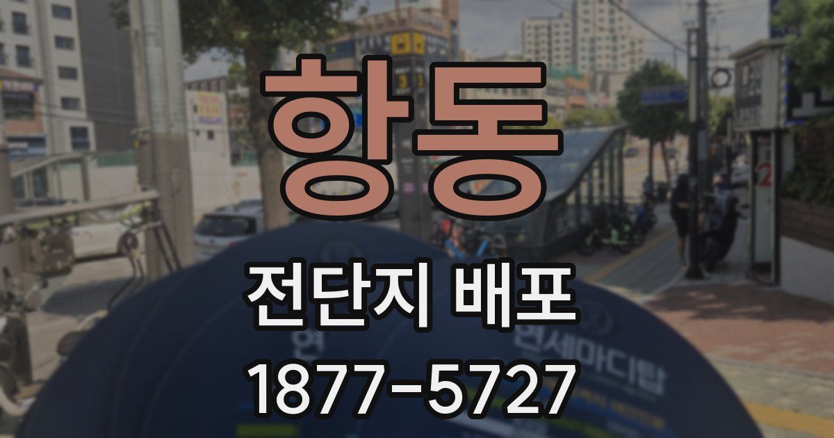 항동 전단지 배포