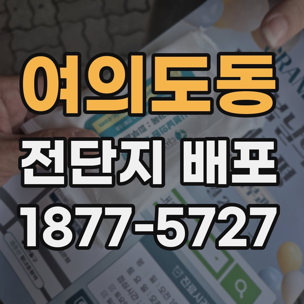 여의도동 전단지 배포