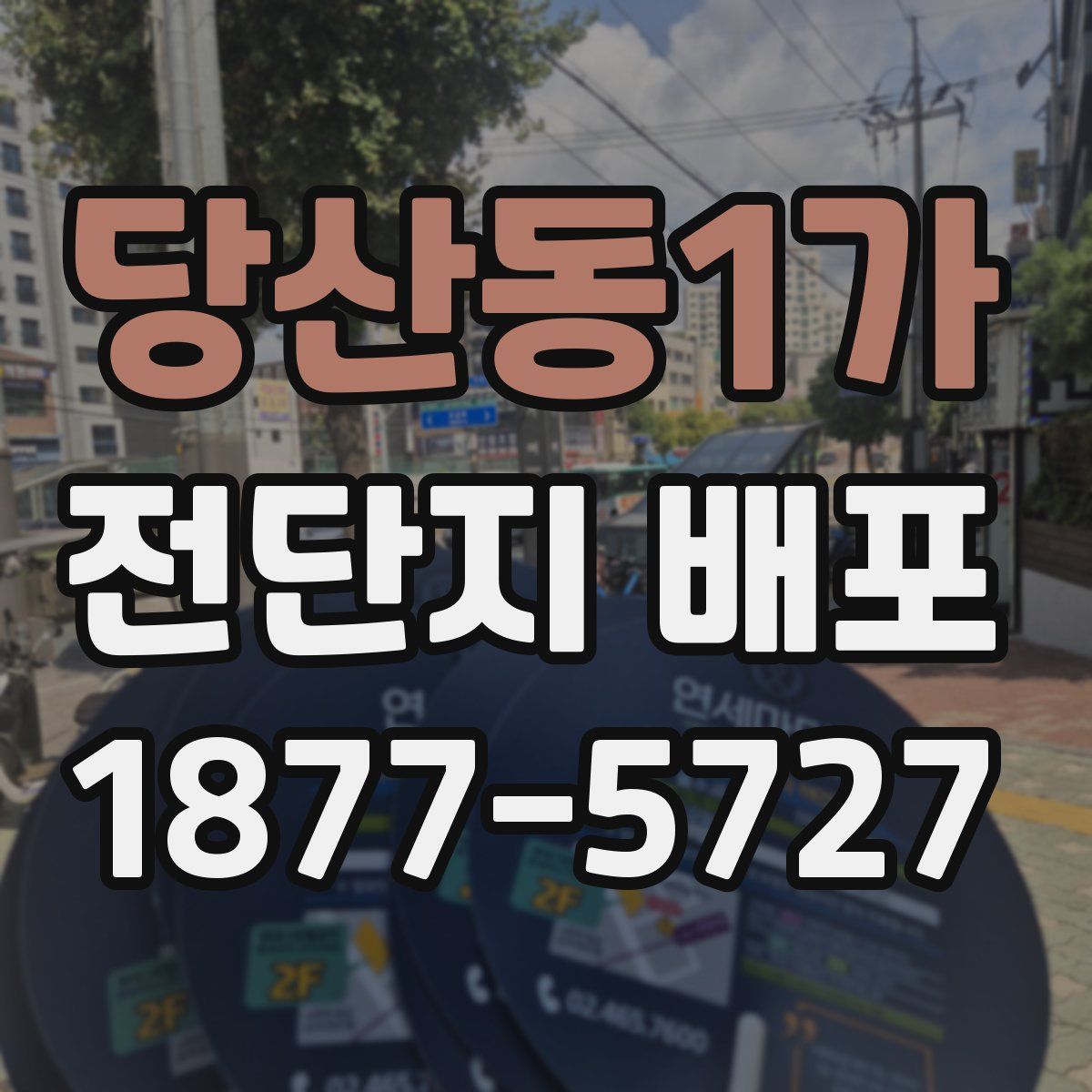 당산동1가 전단지 배포