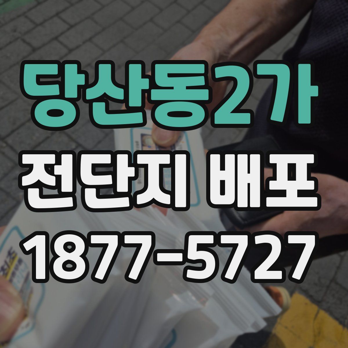 당산동2가 전단지 배포