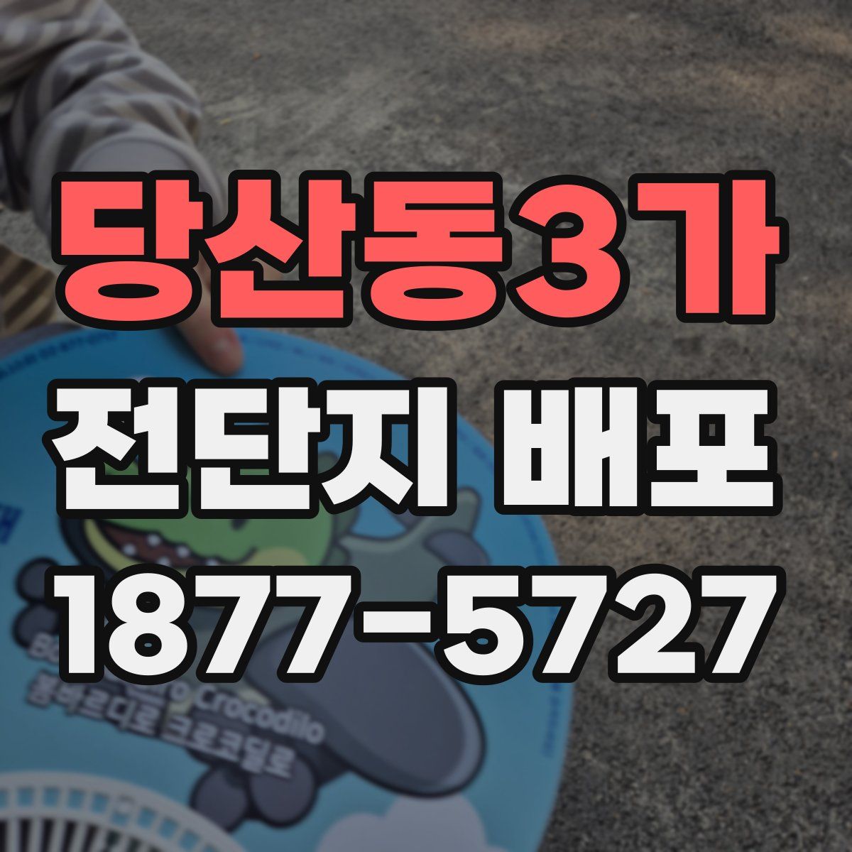 당산동3가 전단지 배포