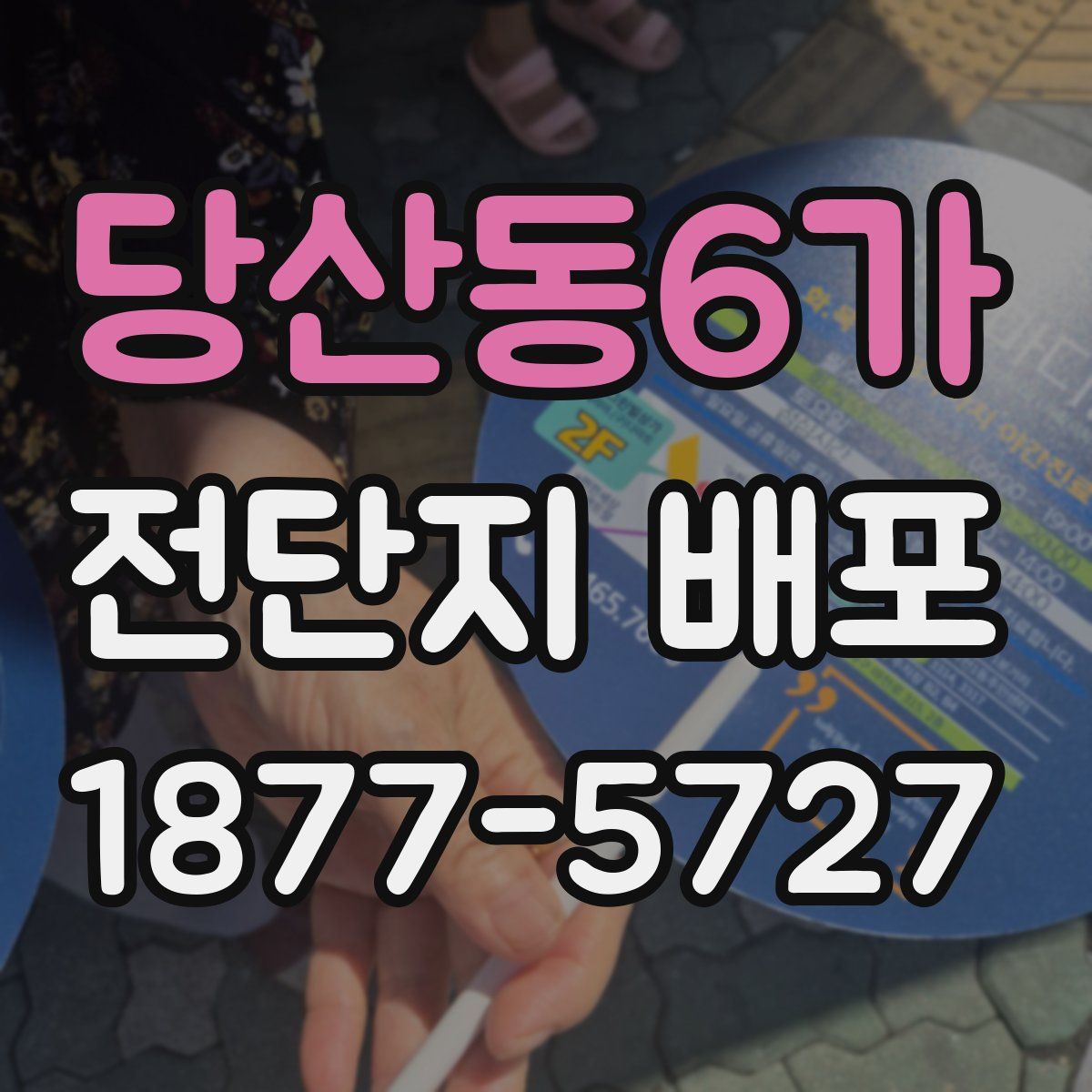 당산동6가 전단지 배포