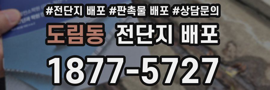 도림동 전단지 배포