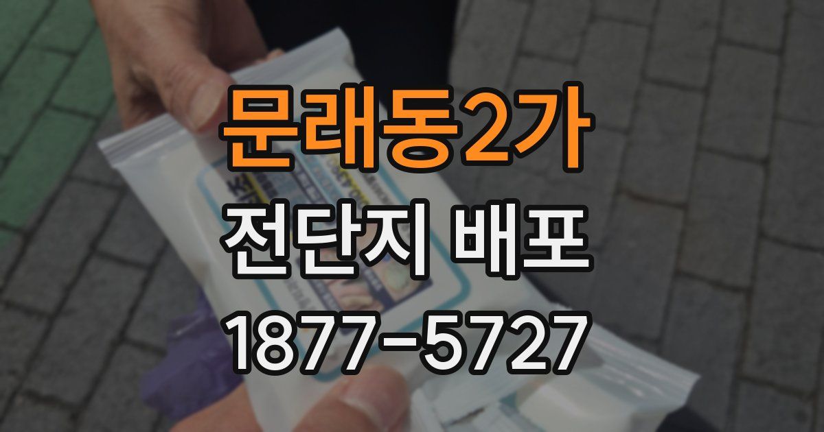 문래동2가 전단지 배포