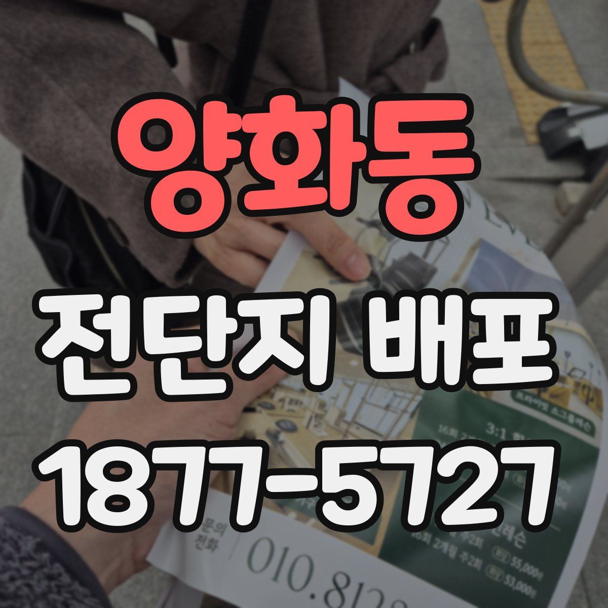 양화동 전단지 배포