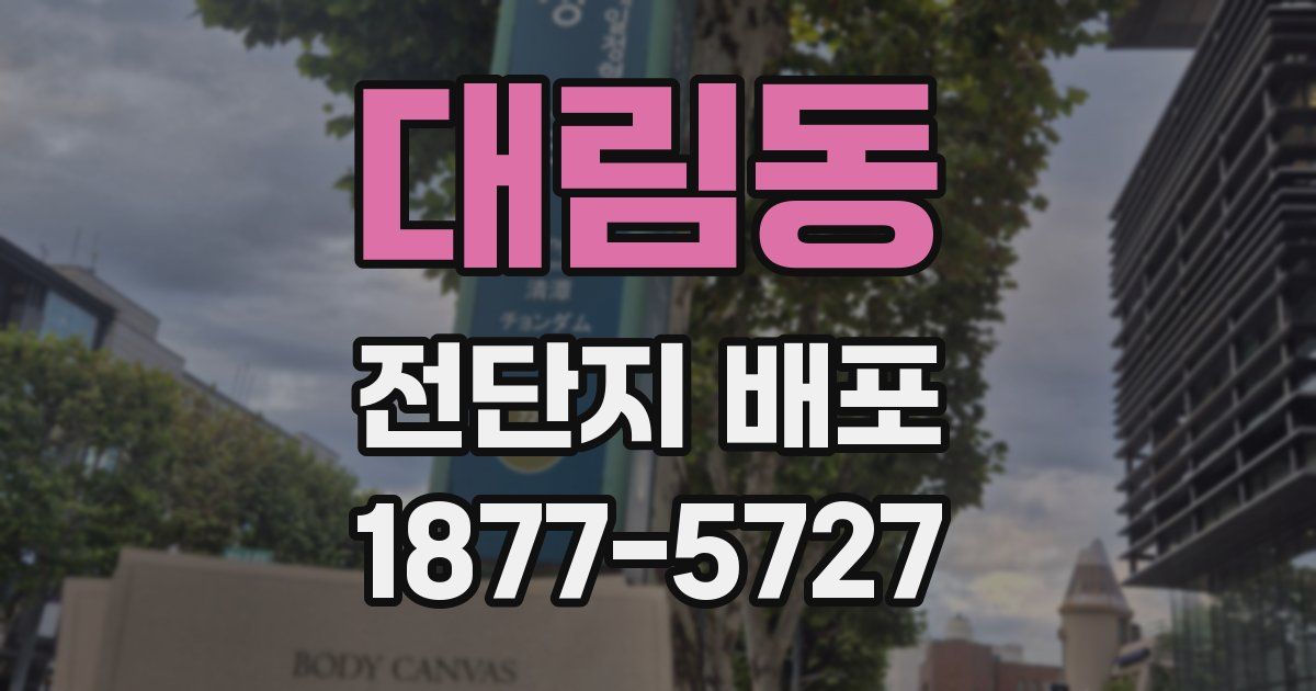 대림동 전단지 배포