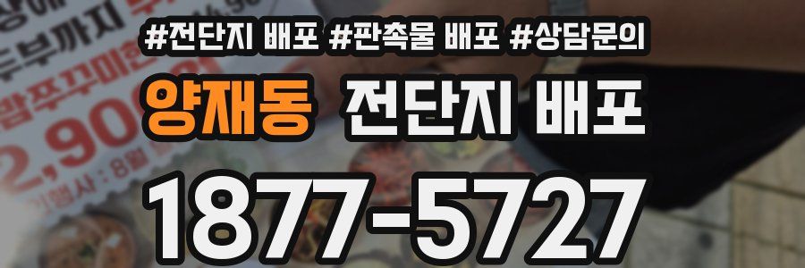 양재동 전단지 배포