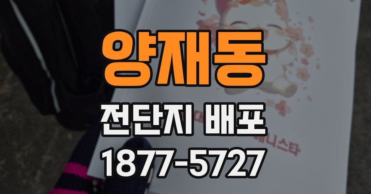 양재동 전단지 배포