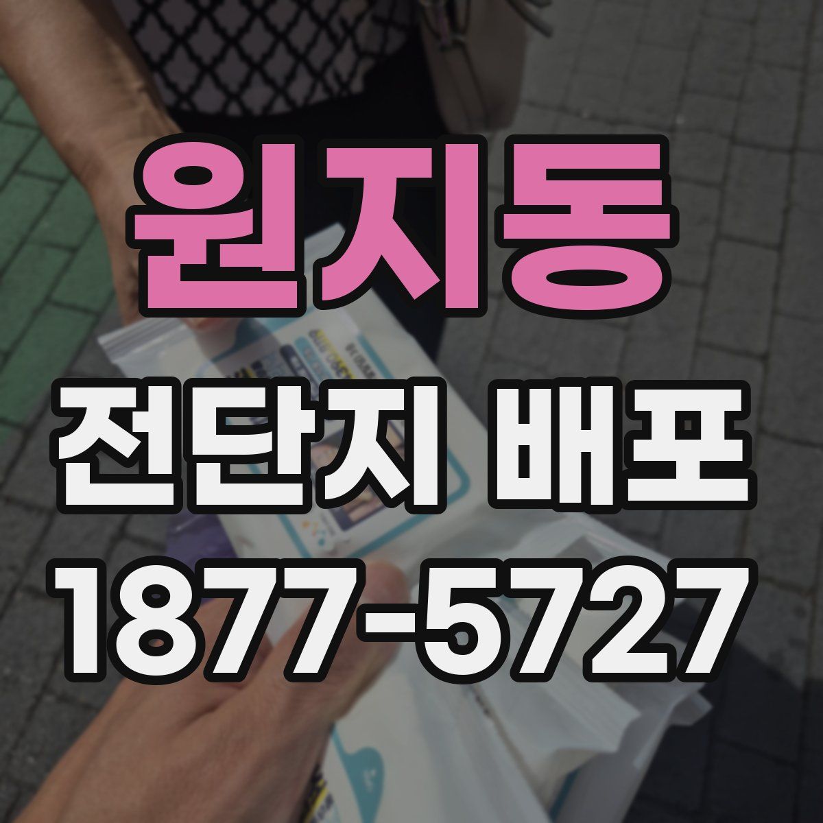 원지동 전단지 배포