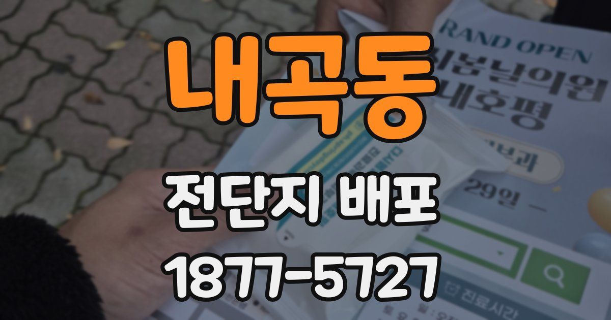 내곡동 전단지 배포