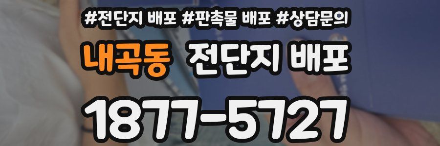내곡동 전단지 배포