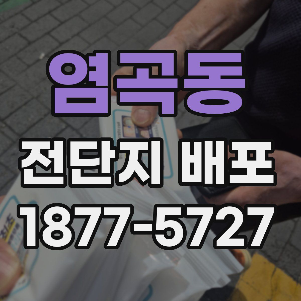 염곡동 전단지 배포