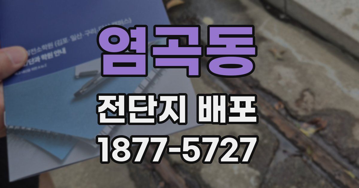 염곡동 전단지 배포