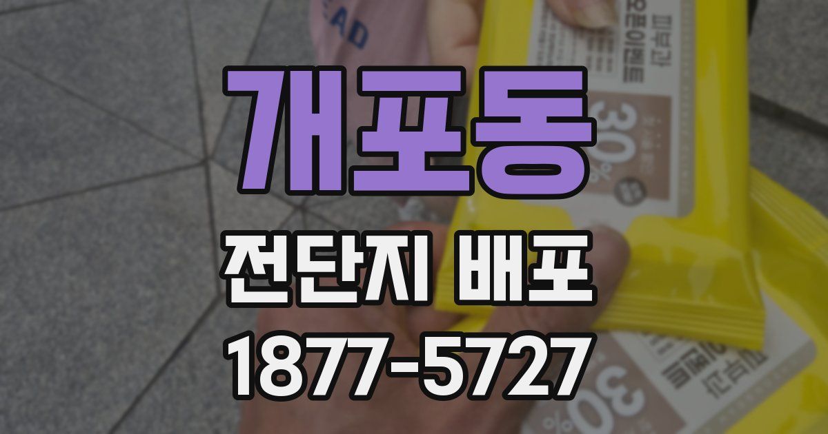 개포동 전단지 배포