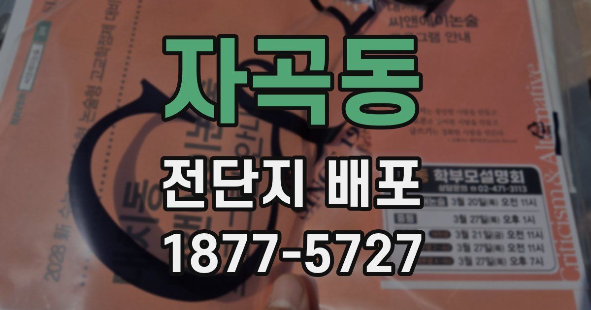 자곡동 전단지 배포