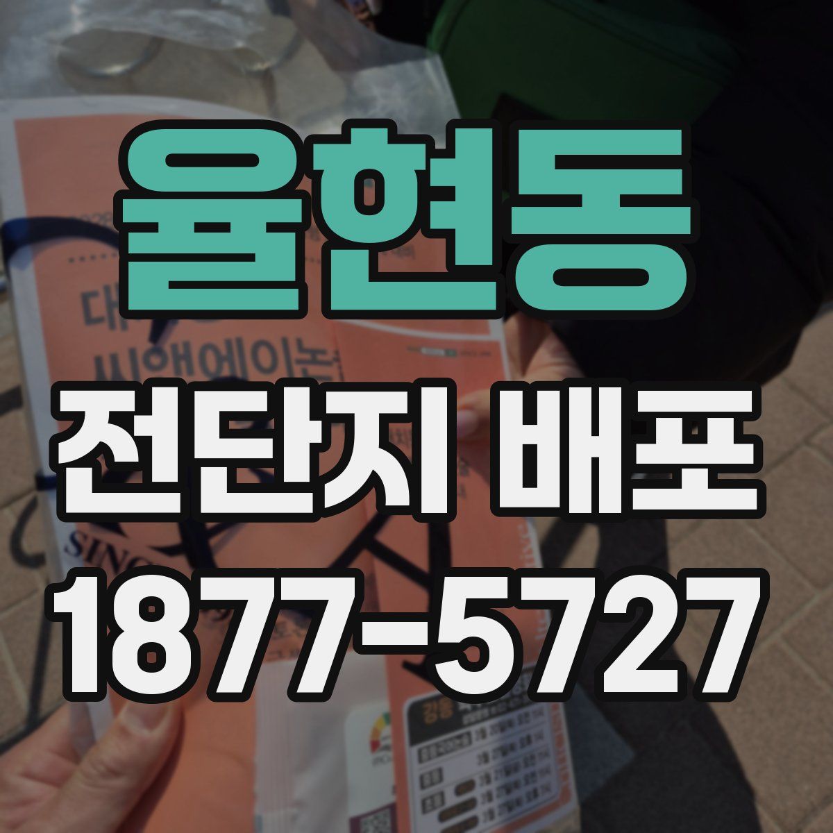 율현동 전단지 배포