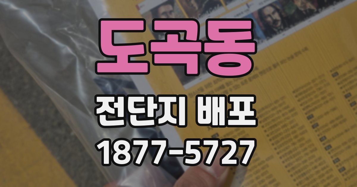 도곡동 전단지 배포