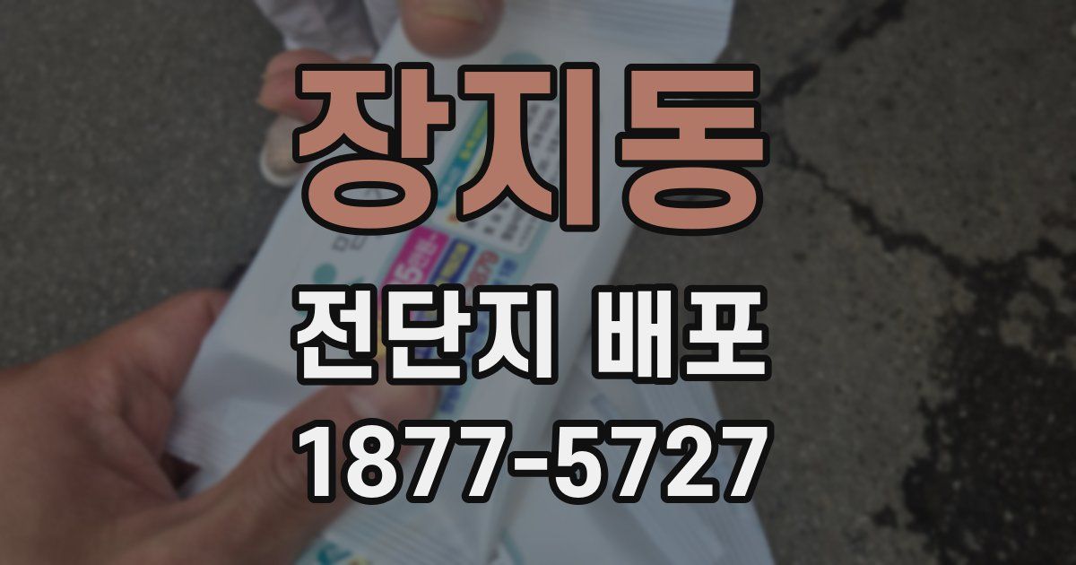 장지동 전단지 배포