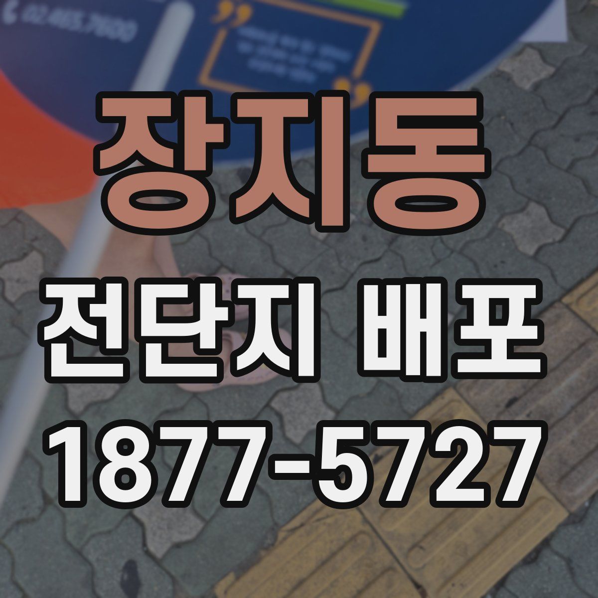 장지동 전단지 배포