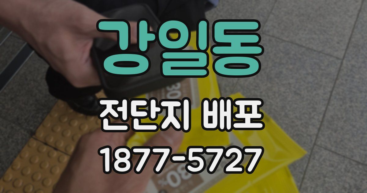 강일동 전단지 배포