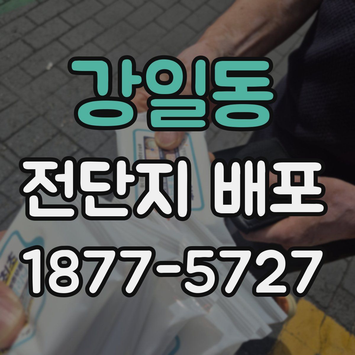 강일동 전단지 배포