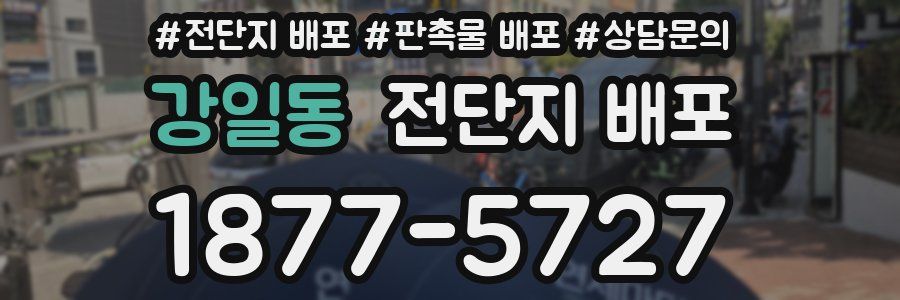 강일동 전단지 배포