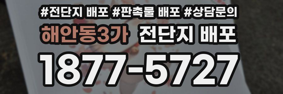 해안동3가 전단지 배포