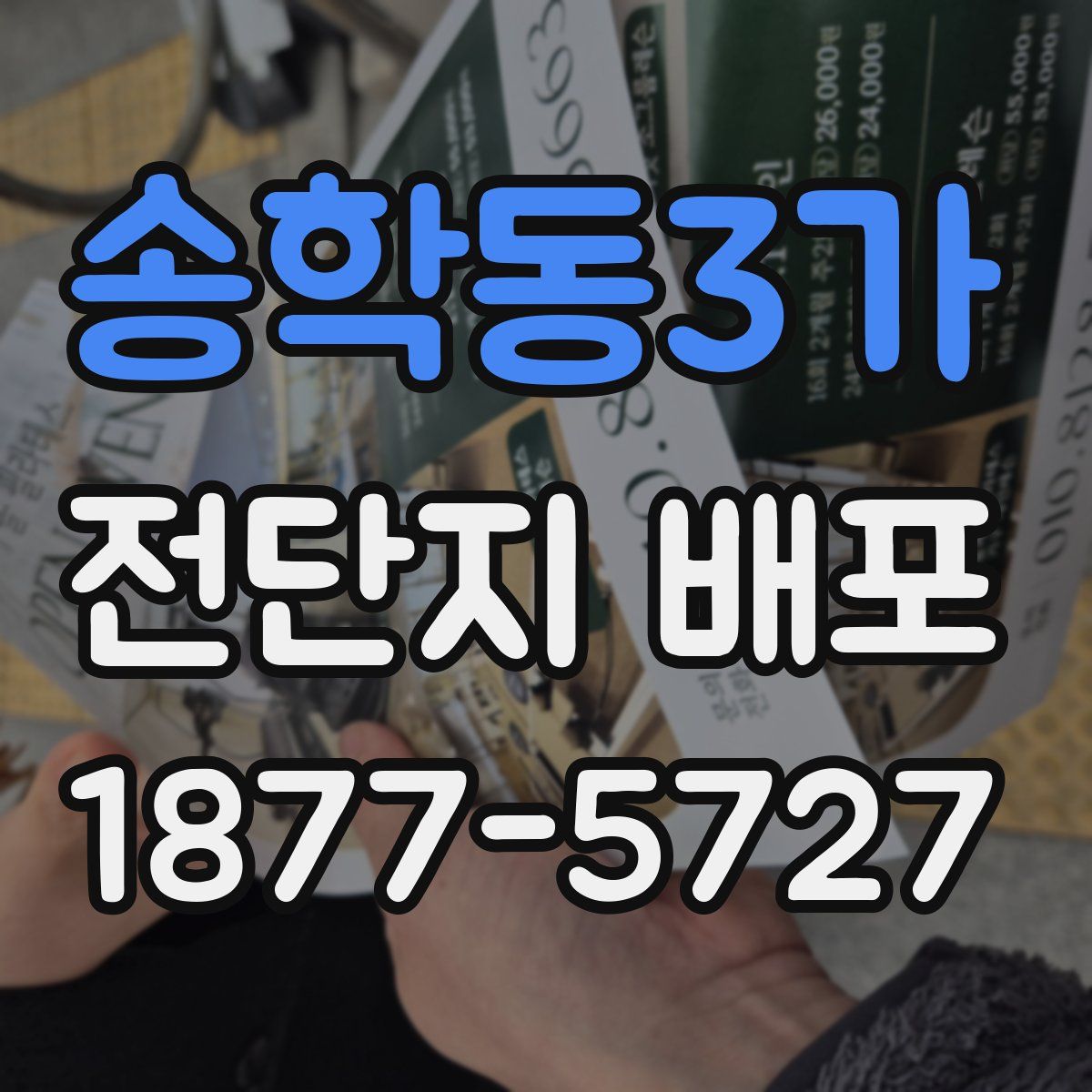 송학동3가 전단지 배포