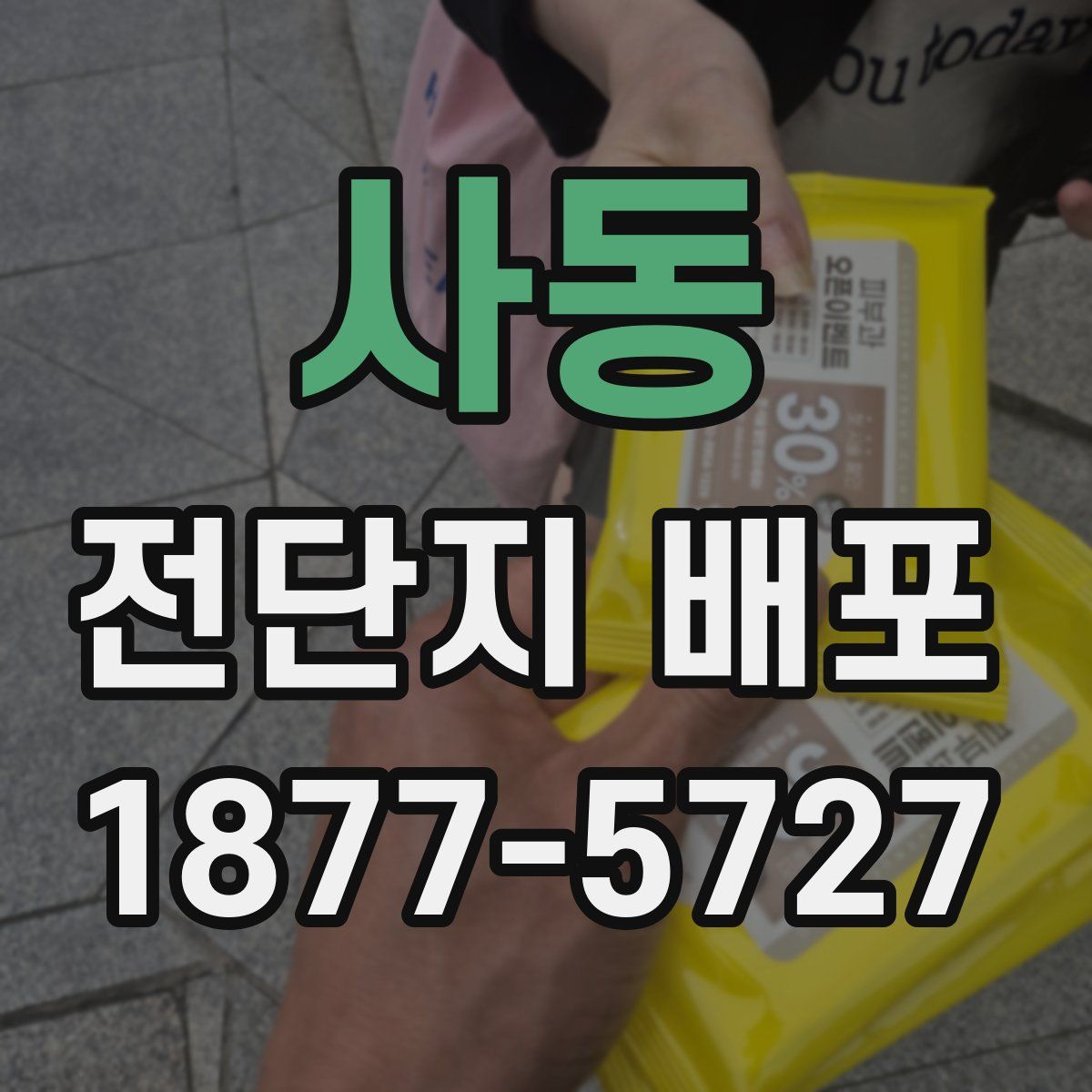 사동 전단지 배포