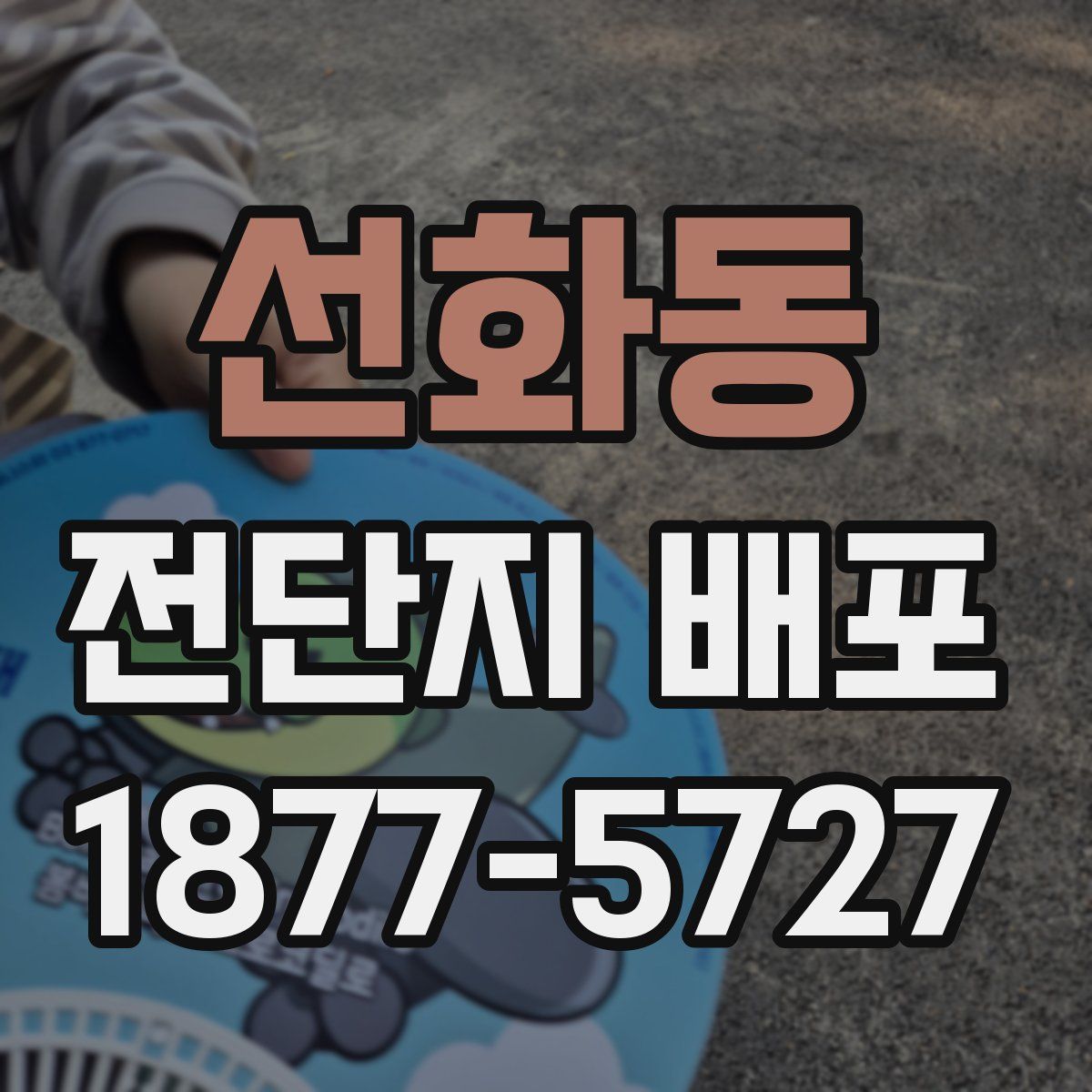 선화동 전단지 배포