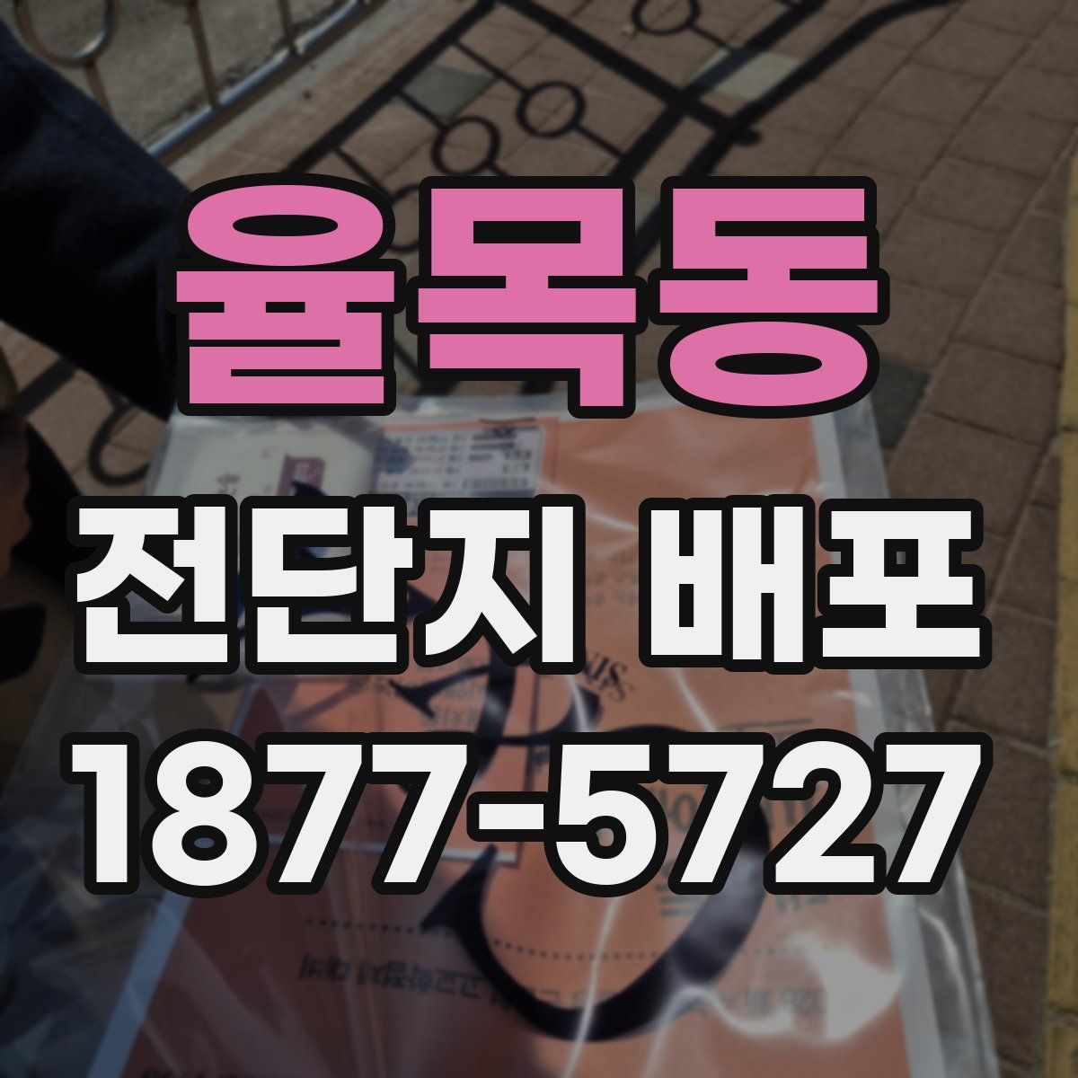율목동 전단지 배포