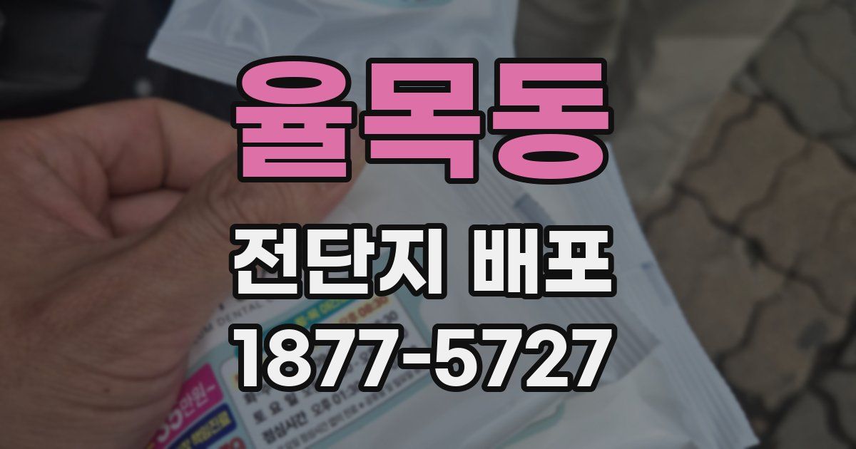 율목동 전단지 배포