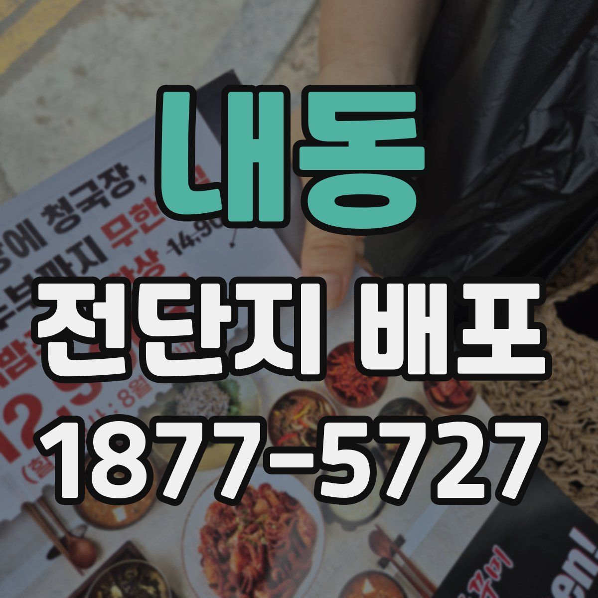 내동 전단지 배포