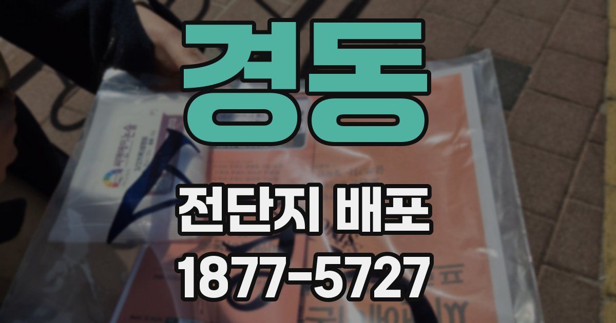 경동 전단지 배포