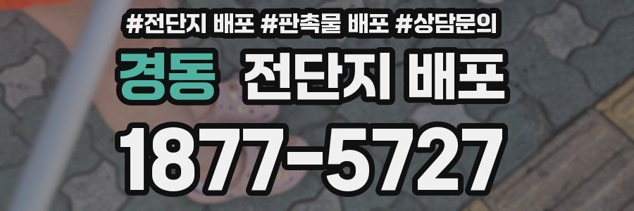 경동 전단지 배포