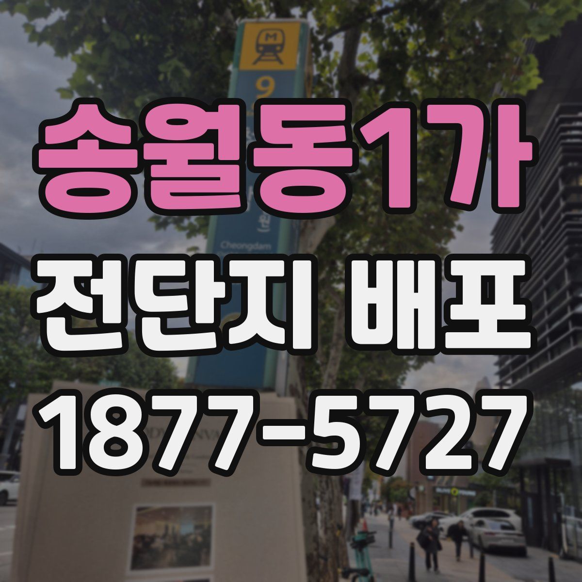 송월동1가 전단지 배포