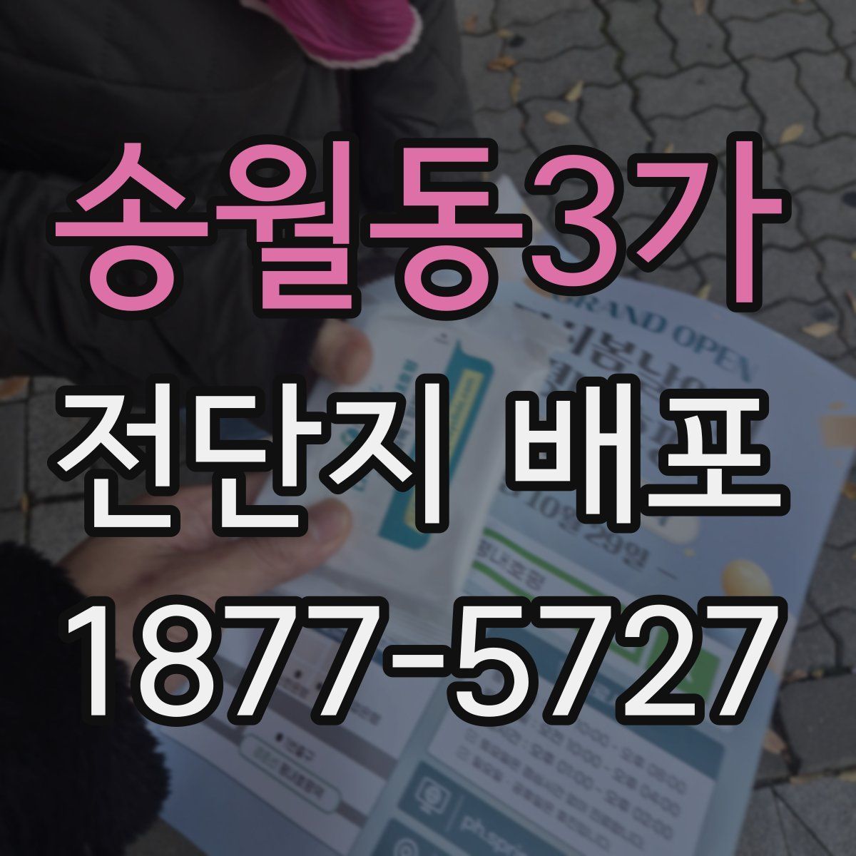송월동3가 전단지 배포