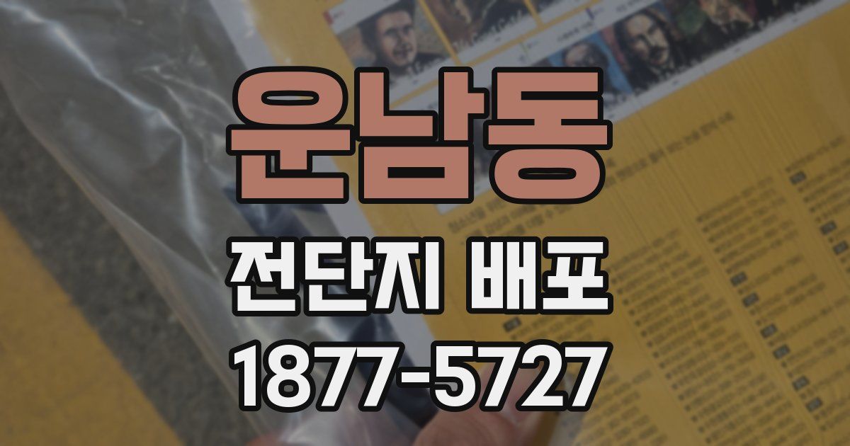 운남동 전단지 배포