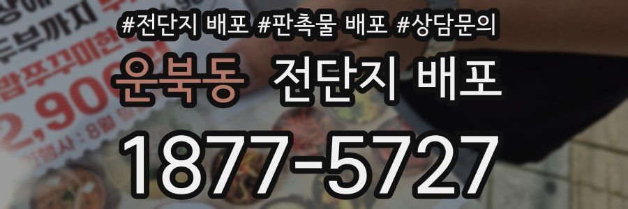 운북동 전단지 배포