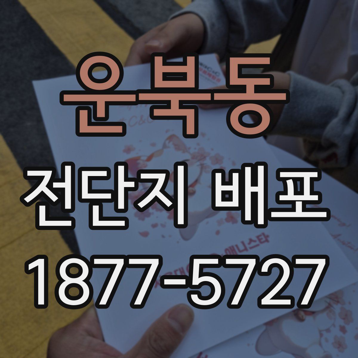 운북동 전단지 배포